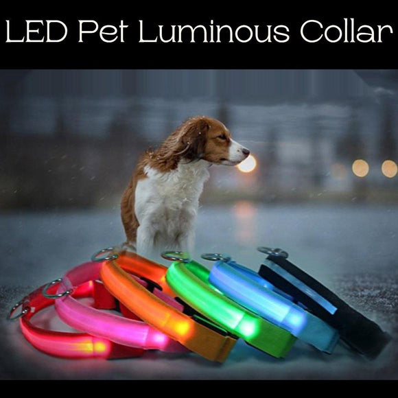 LED Pet Luminous Collar - 1: FancyPetTags.com