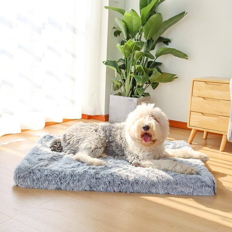 http://www.fancypettags.com/cdn/shop/products/ultra-soft-plush-deluxe-3d-memory-foam-large-dog-bed-367439.jpg?v=1632024826