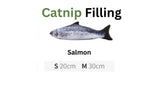 100-silvervinecatnip-filled-fish-cuddle-toy-1580268 - FancyPetTags.com