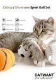 100-silvervinecatnip-filled-sport-ball-set-4-pack-8161562 - FancyPetTags.com