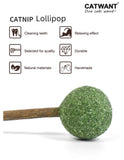 1 - FancyPetTags.com
