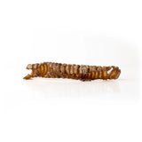 5-7-lamb-trachea-2017338 - FancyPetTags.com