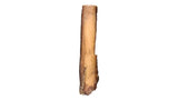 6-monster-bully-stick-8483597 - FancyPetTags.com