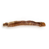 7-lamb-trachea-9765697 - FancyPetTags.com