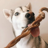 8-11-braided-lamb-pizzle-stick-9515757 - FancyPetTags.com