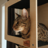 Noba Mural System Kit- The Vertical Playground - FancyPetTags.com