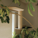 Noba Mural System Kit- The Vertical Playground - FancyPetTags.com