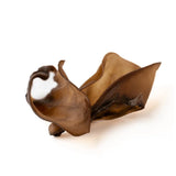 beef-ear-3470160 - FancyPetTags.com