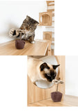 catnip-paper-flower-4200007 - FancyPetTags.com