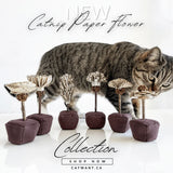 catnip-paper-flower-4465992 - FancyPetTags.com