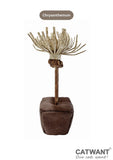 catnip-paper-flower-9954399 - FancyPetTags.com