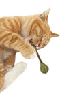 catnip-silvervine-dental-buds-2878398 - FancyPetTags.com