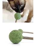 catnip-silvervine-lollipop-8068572 - FancyPetTags.com