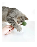 catnip-silvervine-lollipop-9598125 - FancyPetTags.com