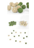 catnip-silvervine-teeth-cleaning-beans-5pcs-6201694 - FancyPetTags.com