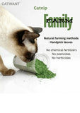 catwant-catnip-2703712 - FancyPetTags.com