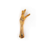 Chicken Feet - FancyPetTags.com