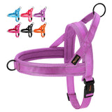 Didog Bi - Directional No Pull Harness - 1: FancyPetTags.com