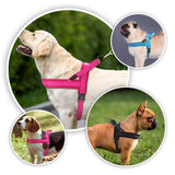 Didog Bi - Directional No Pull Harness - 11: FancyPetTags.com
