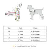 Didog Bi - Directional No Pull Harness - 6: FancyPetTags.com