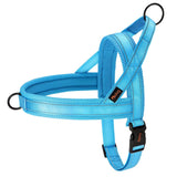 Didog Bi - Directional No Pull Harness - 15: FancyPetTags.com