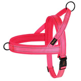 Didog Bi - Directional No Pull Harness - 12: FancyPetTags.com
