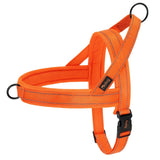 Didog Bi - Directional No Pull Harness - 16: FancyPetTags.com