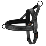 Didog Bi - Directional No Pull Harness - 17: FancyPetTags.com
