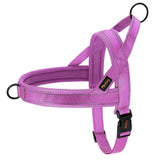 Didog Bi - Directional No Pull Harness - 13: FancyPetTags.com