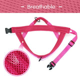 Didog Bi - Directional No Pull Harness - 9: FancyPetTags.com