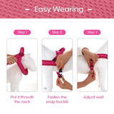 Didog Bi - Directional No Pull Harness - 10: FancyPetTags.com