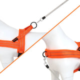 Didog Bi - Directional No Pull Harness - 3: FancyPetTags.com