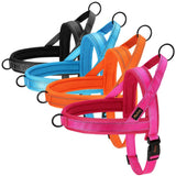 Didog Bi - Directional No Pull Harness - 2: FancyPetTags.com