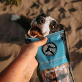 Dried Sardines 340g