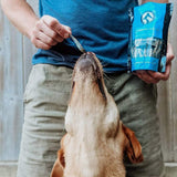 dried-sardines-40g-1822739 - FancyPetTags.com