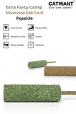 extra-fancy-catnip-popsicle-2510669 - FancyPetTags.com