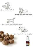 freeze-dried-silvervine-gall-fruit-hydrosol-35-ml-4179715 - FancyPetTags.com