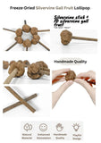 freeze-dried-silvervine-gall-fruit-toys-2663788 - FancyPetTags.com