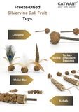 freeze-dried-silvervine-gall-fruit-toys-4706395 - FancyPetTags.com