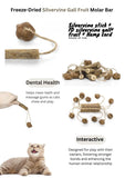 freeze-dried-silvervine-gall-fruit-toys-6723474 - FancyPetTags.com