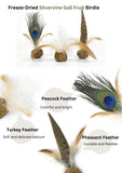 freeze-dried-silvervine-gall-fruit-toys-8538608 - FancyPetTags.com