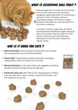freeze-dried-silvervine-gall-fruits-20g-9828061 - FancyPetTags.com