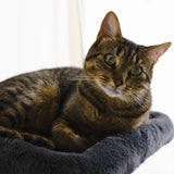 hut-hideout-deluxe-3-level-cat-tree-7554507 - FancyPetTags.com