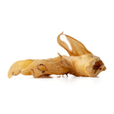 lamb-ear-1794232 - FancyPetTags.com
