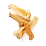 lamb-ear-8146872 - FancyPetTags.com