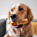 medium-himalayan-yak-snak-1634616 - FancyPetTags.com