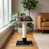 noba-modern-plywood-1-level-cat-tree-2925603 - FancyPetTags.com