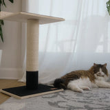 noba-modern-plywood-1-level-cat-tree-6200354 - FancyPetTags.com