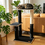 noba-modern-plywood-2-level-cat-tree-8830015 - FancyPetTags.com