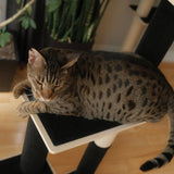 noba-modern-plywood-3-level-cat-tree-5394541 - FancyPetTags.com